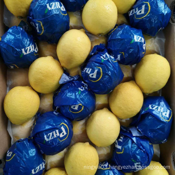 High Quality China Wholesale Fresh Yellow Lemons